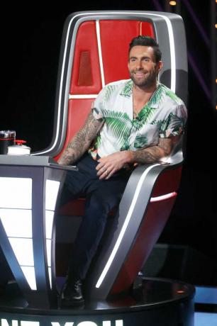 Adam Levine, la voce, idea del costume di Halloween