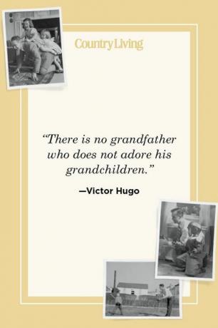 “non c'è nonno che non ami i suoi nipoti” —victor hugo