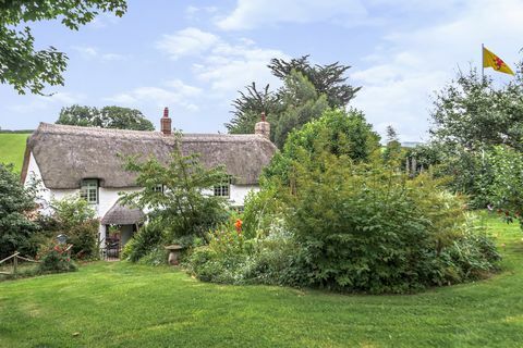 cottage con tetto di paglia in vendita nel Somerset occidentale