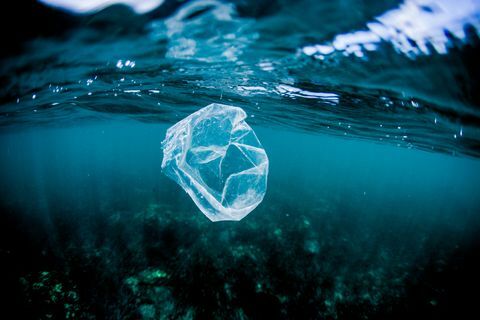 Sacchetto di plastica che galleggia sopra la scogliera nell'oceano, Costa Rica