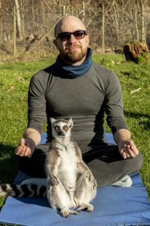 Yoga con lemuri