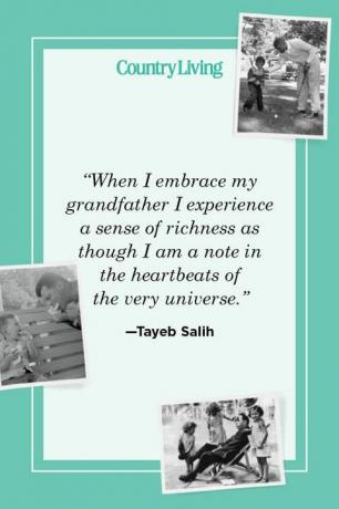 “quando abbraccio mio nonno provo un senso di ricchezza come se fossi una nota nei battiti del cuore dell'universo stesso” —tayeb salih