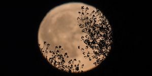 Harvest Moon sorge nel Somerset