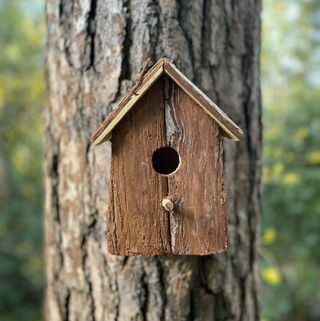 Nido per uccelli in legno di corteccia