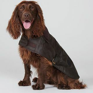 Cappotto per cani cerato Barbour, marrone scuro