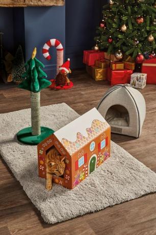 aldi lancia la gamma di regali di Natale per animali domestici