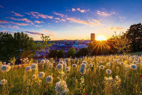 Il sole che tramonta sullo skyline della città di Sheffield