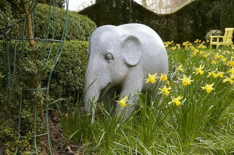 Gratta elefante giardino di Highgrove