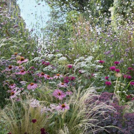 aggiungi colore al giardino