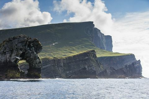 foula shetland island scozia