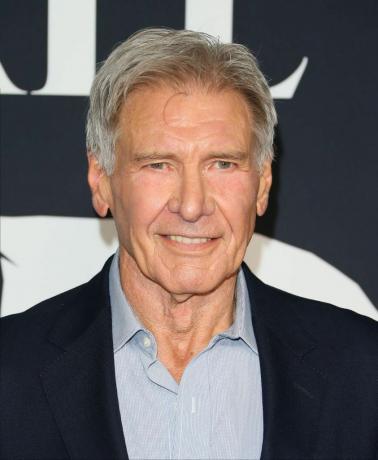 los angeles, california 13 febbraio harrison ford partecipa alla prima di 20th century studios the call of the selvaggio al teatro el capitan il 13 febbraio 2020 a los angeles, california foto di jean baptiste lacroixwireimage