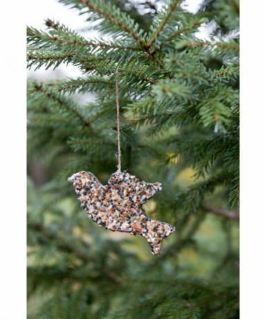 ornamento di Natale di semi di uccelli fatti in casa