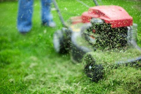 Come tagliare l'erba per la prima volta nell'anno