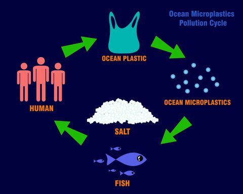 concetto del cerchio di inquinamento delle microplastiche dell'oceano. illustrazione vettoriale