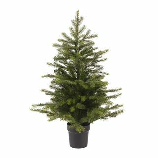 Mini albero da interno Grandis - 90 cm - verde