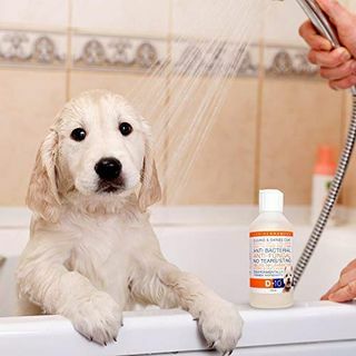 D-10 Shampoo per cani antimicotico e antibatterico senza lacrime