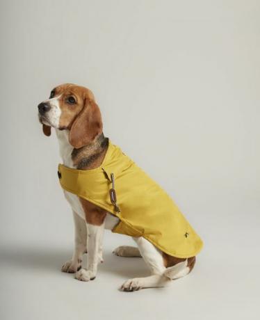Cappotto per cani Joules giallo antispruzzo