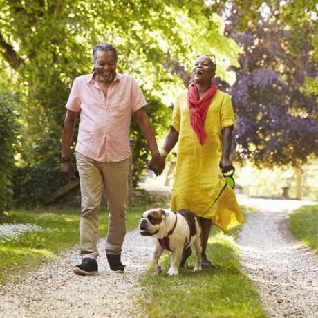 Coppie senior che camminano con il bulldog dell'animale domestico in campagna