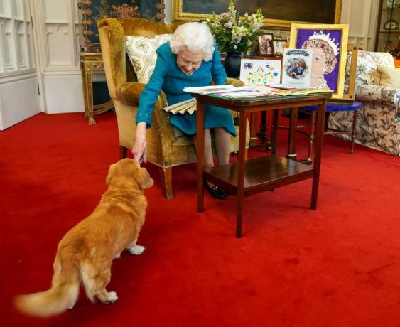 Cosa succede ai cani della regina Elisabetta ora che è morta?
