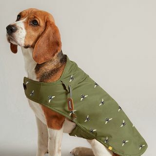 Cappotto per cani cerato verde oliva 