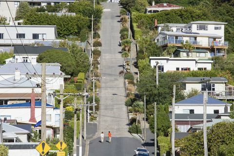 Baldwin Street, Nuova Zelanda - La strada più ripida del mondo