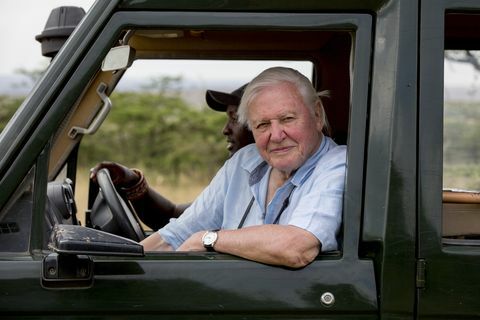Sir David Attenborough nella foto nel Maasai Mara in Kenya durante le riprese di David Attenborough una vita sul nostro pianeta il film sarà presentato in anteprima il 16 aprile 2020credit keith scholey silverback films