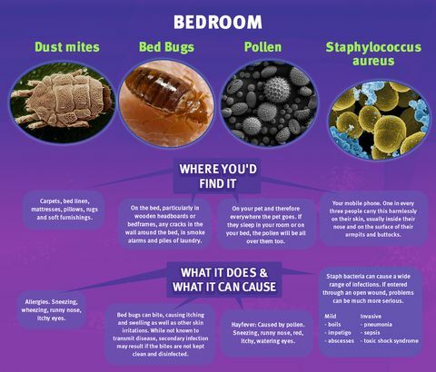 Germi da camera da letto - Materasso online