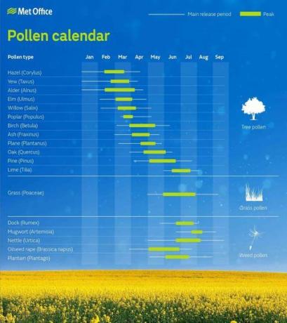 previsione del polline