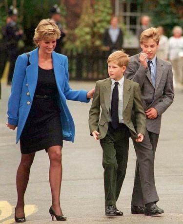 Il principe William dice che lui e il principe Harry hanno deluso la principessa Diana e non potevano proteggerla nel documentario della BBC