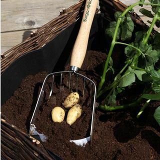 Burgon & Ball Paletta per patate con manico di media lunghezza