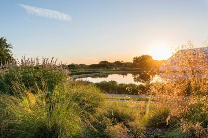 vista sui confini della serra e sul lago al tramonto di giugno, giardino Wisley sulla destra