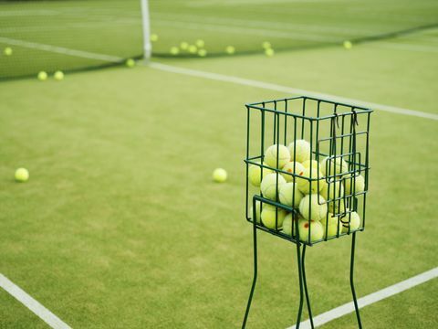 12 cose che non sapevi su Wimbledon