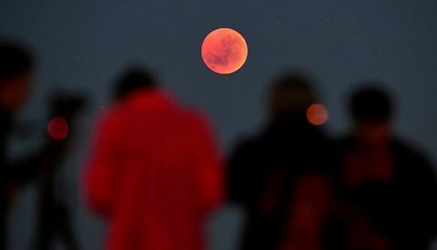 luna di sangue in australia