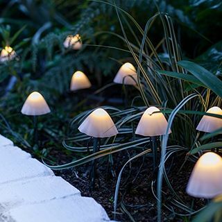 Lights4fun Set di 12 luci di palo da giardino decorative solari a fungo Cavo verde bianco caldo LED IP44 impermeabile