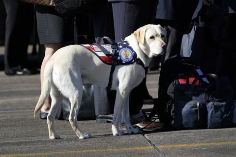 Cerimonia di partenza tenuta come corpo del presidente Bush volato a Washington DC