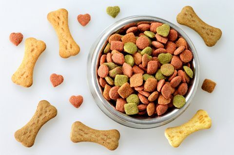 Cibo per cani nella ciotola e biscotti a forma di osso