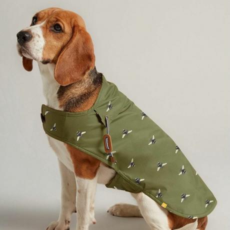 Cappotto per cani cerato verde oliva