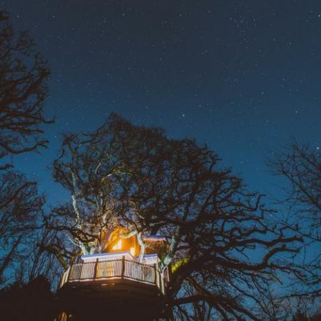 Treetops Treehouse - Devon - notte - Canopy & Stars