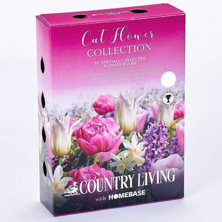 Collezione Country Living Cutflower