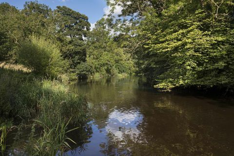 Illieston Castle - Broxburn - Scozia - fiume - scale - Savills