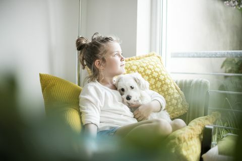 bambina seduta sulla poltrona di casa coccole con il suo cane