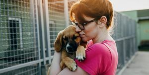 giovane donna che adotta un cane da un rifugio