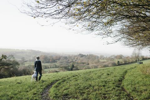 Una donna che cammina con un cane su un'altura che domina la campagna.