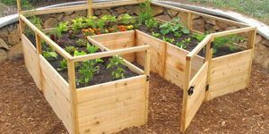 Compost, suolo, legno, piante, giardino, verdure, piantagioni, erbe, mobili, agricoltura, 