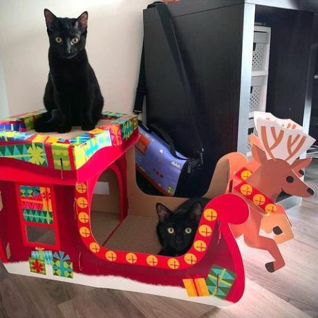 Target Wondershop casa tiragraffi per gatti di Natale