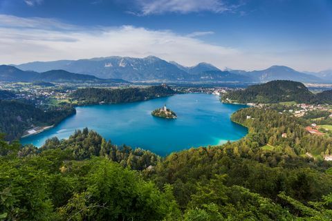 lago blu circondato dalla foresta in slovenia