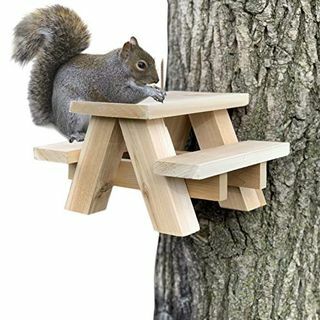 Scoiattolo Picnic Table Feeder 