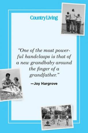 “una delle strette di mano più potenti è quella di un nuovo nipotino attorno al dito di un nonno” —joy hargrove
