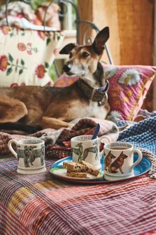 emma bridgewater collezione primaverile