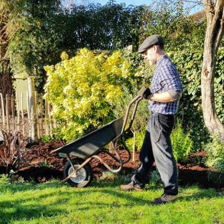 cosa fare in giardino a febbraio